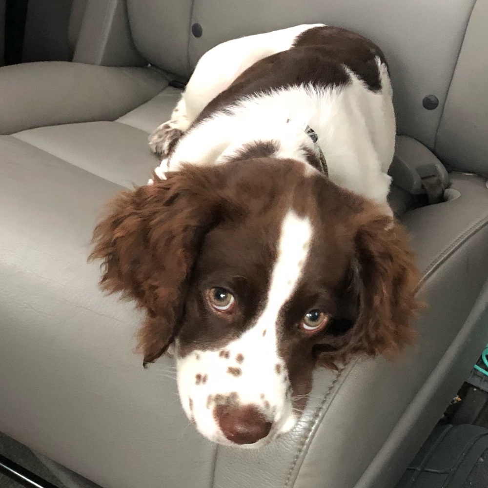 Meet your Posher, Ashley